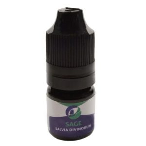 Buy Salvia Divinorum online